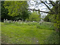 Graveyard south east of Lidlington