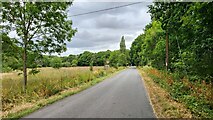 SU7552 : Bagwell Lane by James Emmans