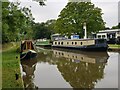 Narrowboats at Hanbury Wharf, Worcester & Birmingham Canal (3)