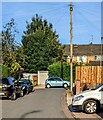 Telephone pole, Claremont, Newport