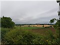 View towards Cruise Hill from near Berrowhill Farm