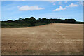 Stubble field near Wood Farm