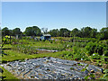 Allotments, Turners Hill