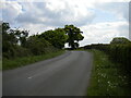 Bury Ware south of Lidlington (1)