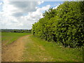 Public footpath south west of Southview Farm