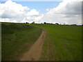 Public footpath north of Boughton End Farm (1)