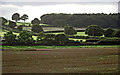 SO8590 : Staffordshire farmland south-west of Swindon by Roger  D Kidd
