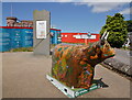 NH6644 : Heilan Coo, Inverness Castle by Craig Wallace