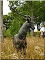 Stag sculpture at Shortridge Hall