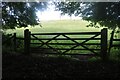 Gate by Holme Wood near Marlow Common