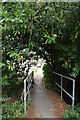 Alleys-oop Petersfield: Path to Beaumont Mews