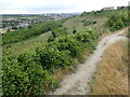 Path at the top of Darland Banks