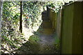 Footpath to Hilden Farm