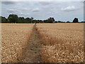 Path to Elms Farm