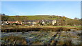 Flood Plain of River Roch