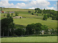 Weardale around West Blackdene