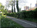 Riverside path, Tamworth