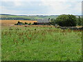 Blackerstone Cottage