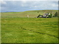 Barley near the A975