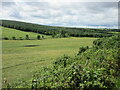 Field near Tarty