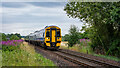 158719 coupled with 170395 bound for Inverness at Murthly level crossing