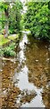 NY4731 : River Petteril in Newton Reigny by Luke Shaw