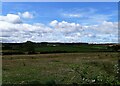 Looking south from Rockwell Hill