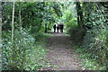 Path up from Llanhilleth Colliery Memorial