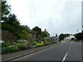 Flower bed by Cannington High Street