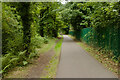 Path in Telford Town Park