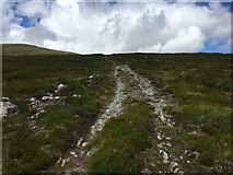 NH2471 : Track towards Creag Dhubh Fannaich by Steven Brown
