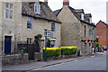 Lewis Lane, Cirencester