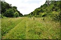 Along the old railway line