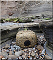 NZ7818 : Washed-up post, Penny Steel, Staithes by habiloid
