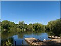 Hamilton Park Lake