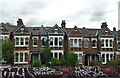 Houses on Milkwood Road