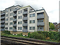 Flats beside Tulse Hill South Junction