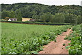 Path through beet field near Broomy Hill