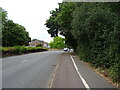 Dual use path beside Weybridge Road (A317)