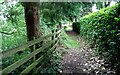 Path to a cemetery