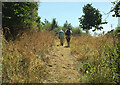 Walkers near Hawkmoor