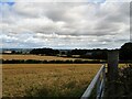 NZ1261 : Roadside view from Kyo Lane by Robert Graham