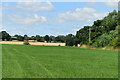 View across fields opposite Beach Tree Farm