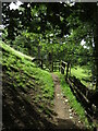 NY4103 : Path through trees near Troutbeck by Gareth James