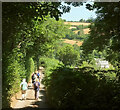 Lane to Slade Cross