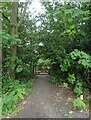 Path onto Westend Common