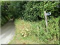 Nankilly - Lane and footpath sign