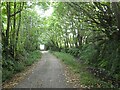 Track to Bramble Cottage