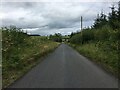 Minor road near Halldykes Farm