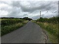 Minor road near Halldykes Farm